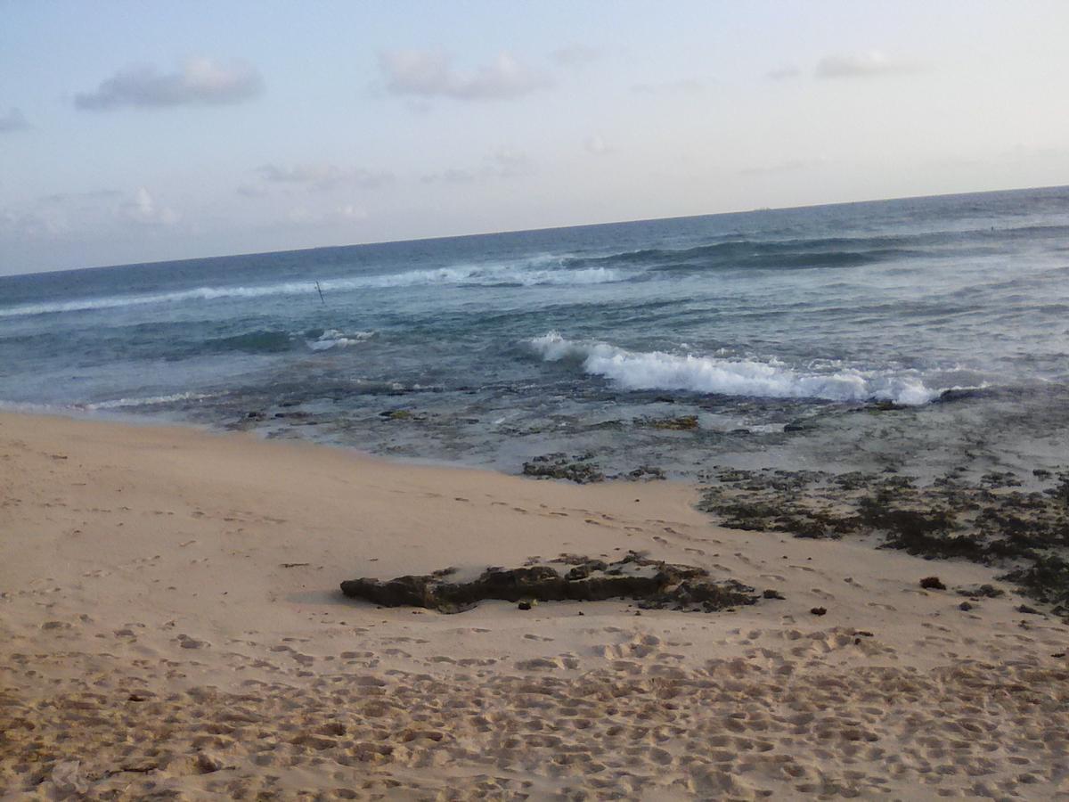 Shantha Surf Villa เวลิกามา ภายนอก รูปภาพ